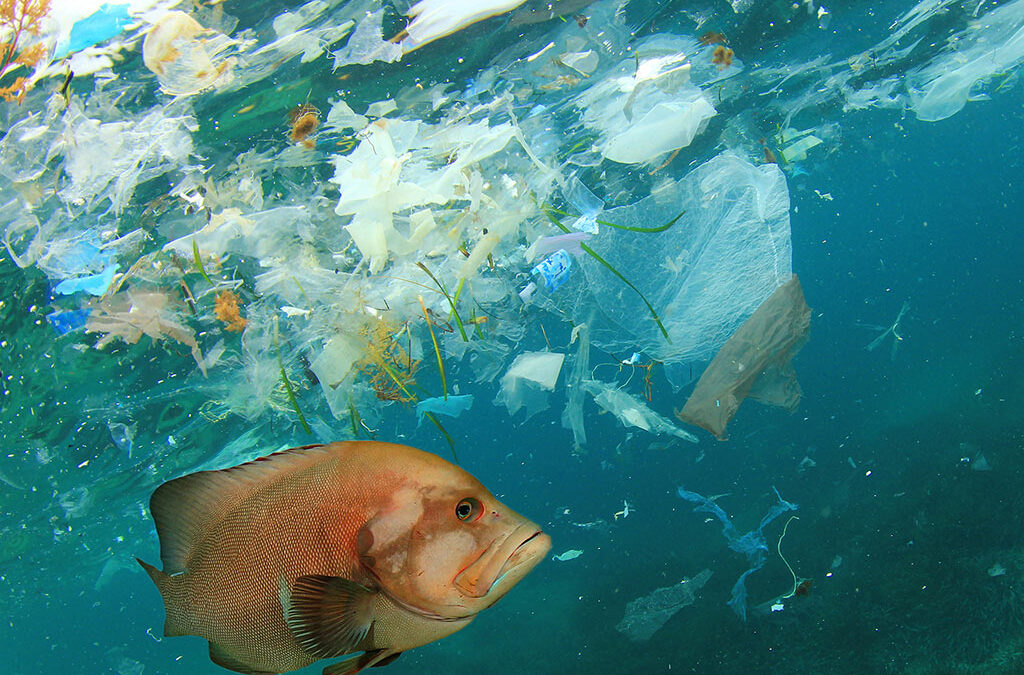 OCS: lo standard per prevenire la dispersione di microplastiche in azienda